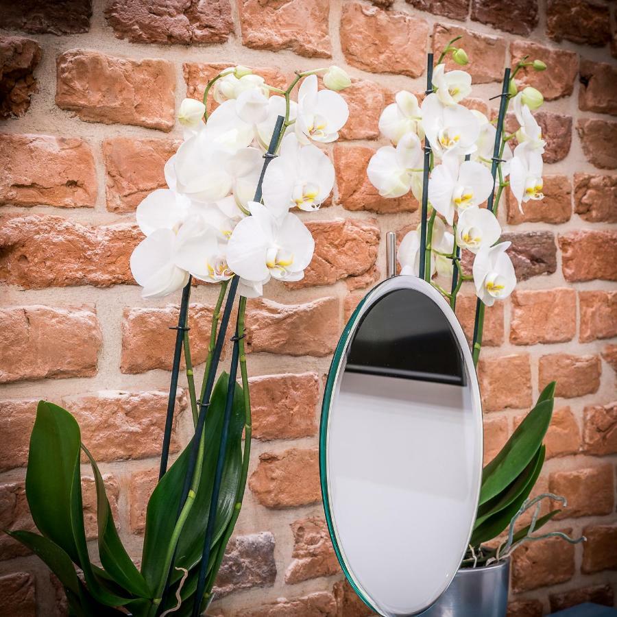 Apartamenty "Artaparts" Stare Miasto - Centrum Torun Luaran gambar